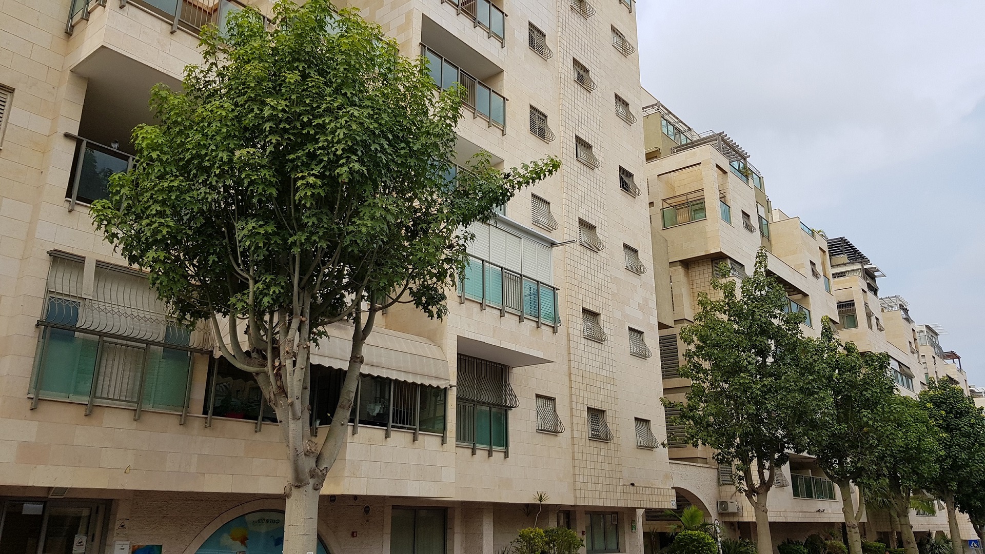 טייטל - רחוב חזון אי"ש בבני ברק